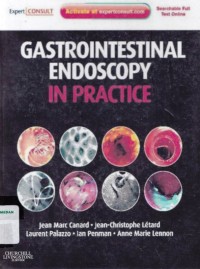 Gastrointestinal endoscopy in practice