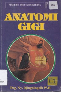 Anatomi gigi